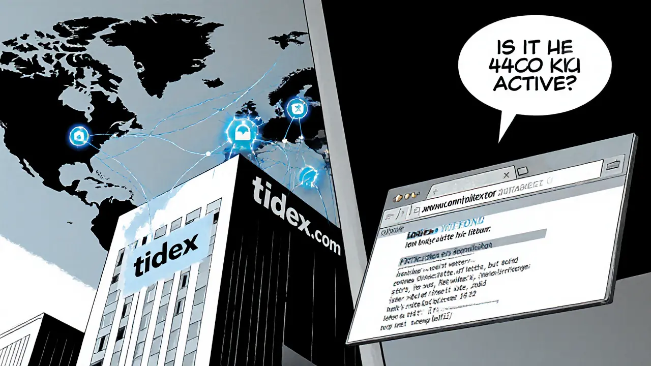 Analyse détaillée de l'échange crypto Tidflex : frais, sécurité et statut en 2025